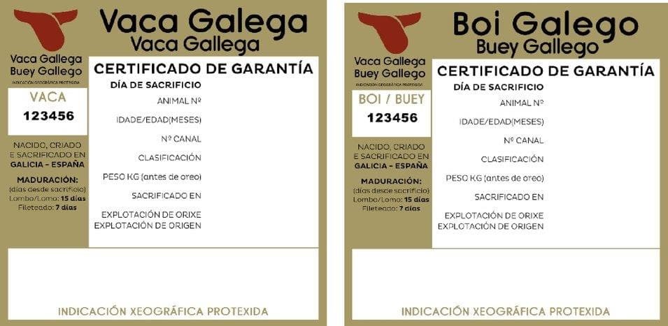 Foto 1 Vaca Gallega IGP certificada