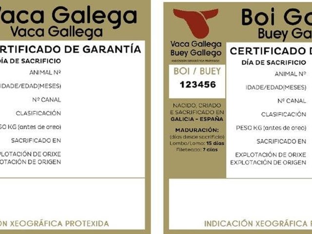 Vaca Gallega IGP certificada